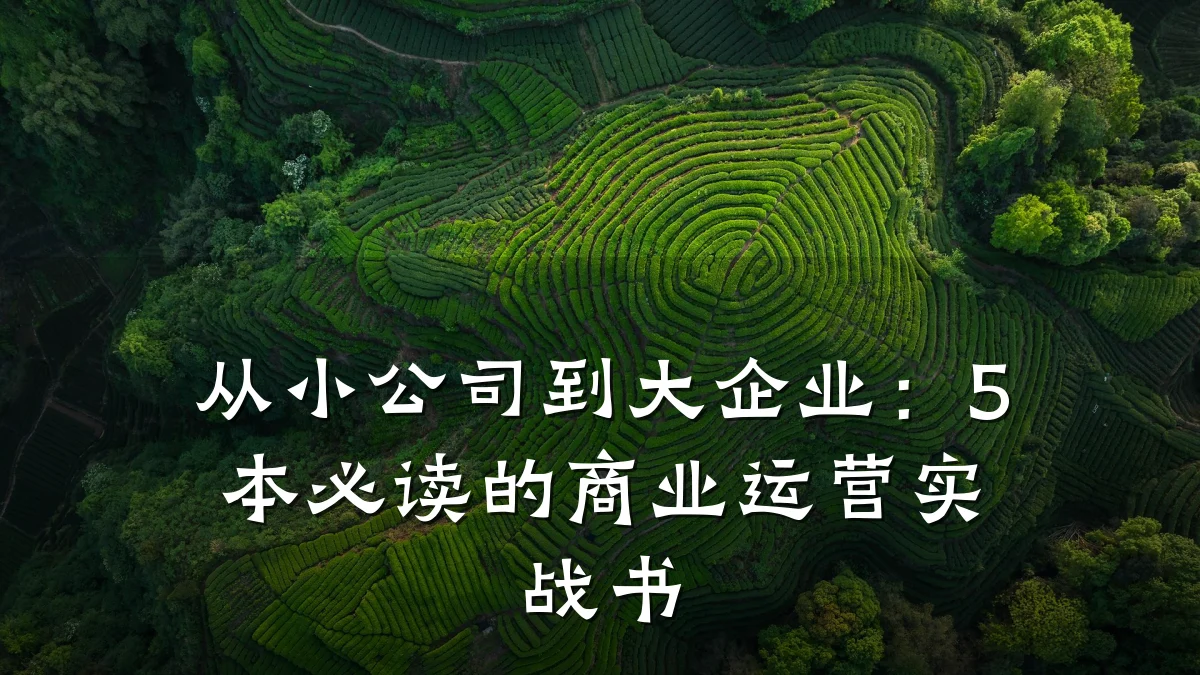 从小公司到大企业:5本必读的商业运营实战书
