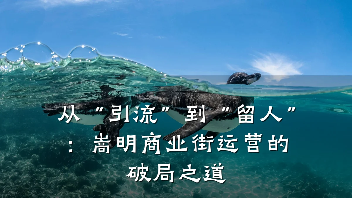 从“引流”到“留人”:嵩明商业街运营的破局之道