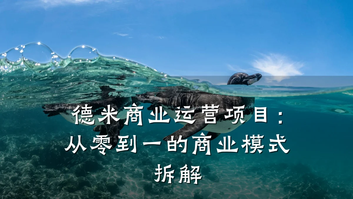 德米商业运营项目:从零到一的商业模式拆解