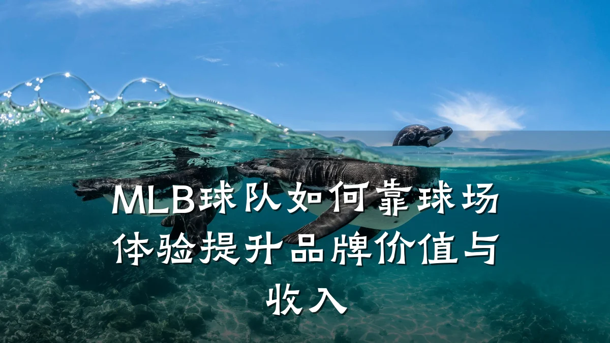MLB球队如何靠球场体验提升品牌价值与收入