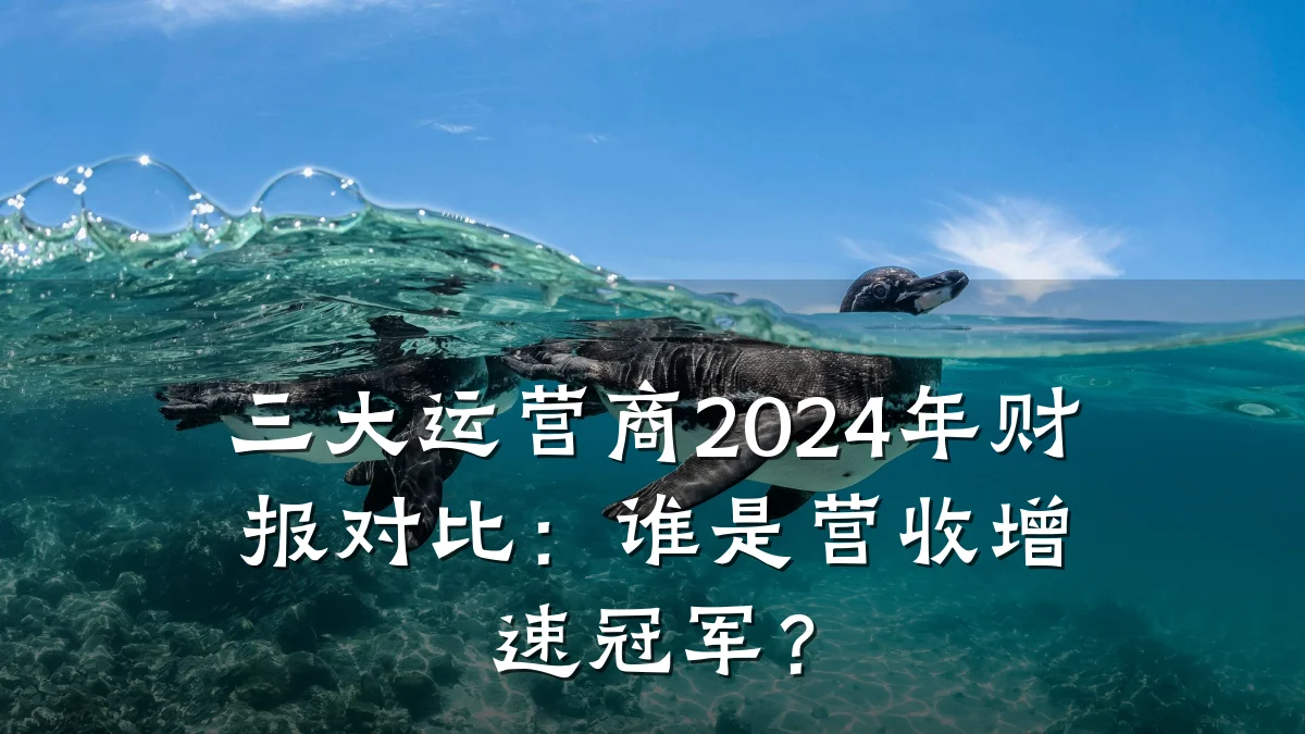 三大运营商2024年财报对比:谁是营收增速冠军?