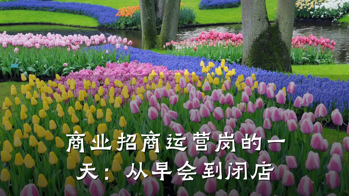 商业招商运营岗的一天:从早会到闭店